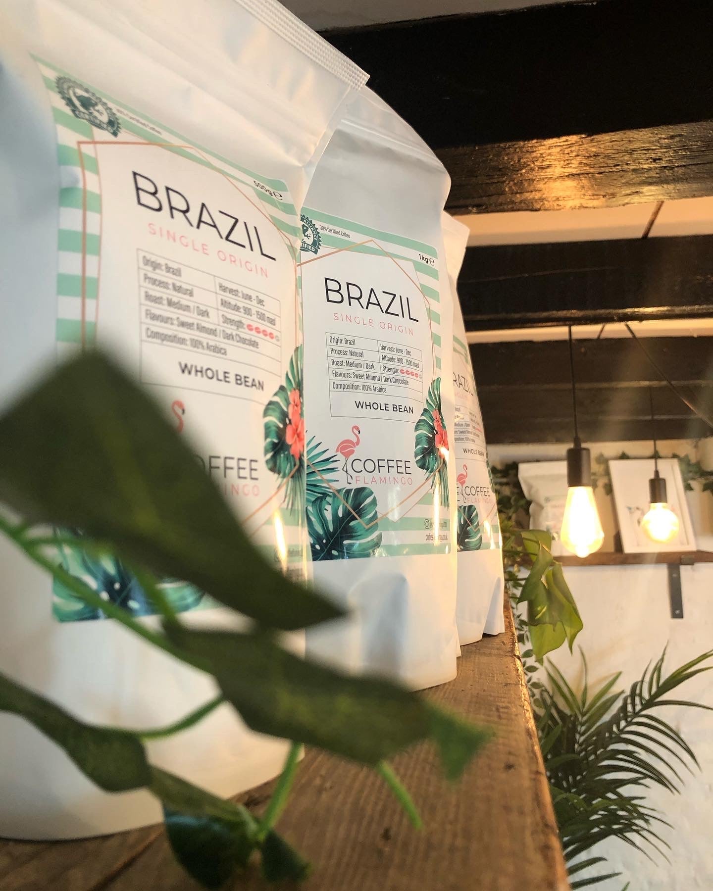 The Barn at Sollo Joins the Flamboyance! - Coffee Flamingo